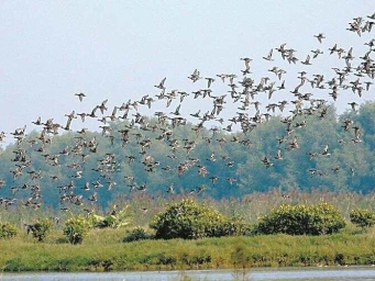 瀑落云台织新锦 湿地乡野蕴生机