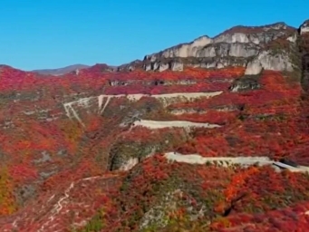 “两节”机票预订进入高峰期 小众目的地受青睐