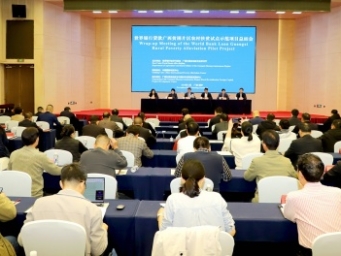 1亿美元能做什么？世行贷款惠及广西10万脱贫人口