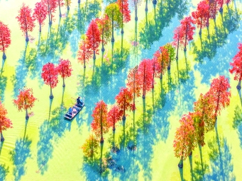 江苏泗洪：生态养殖双丰收