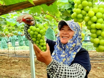 青岛城阳举办农民运动会庆祝丰收节